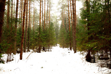 Similar image 6105520