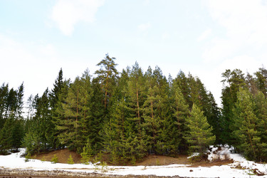 Similar image 6105521