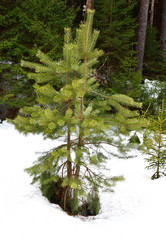 Similar image 6105522