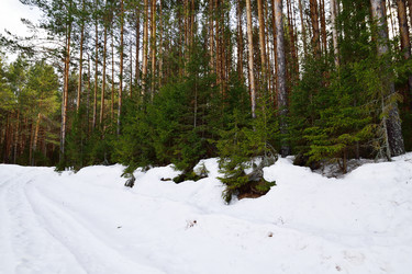 Similar image 6105523