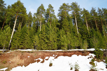 Similar image 6105528