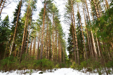 Similar image 6105532