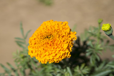 Similar image 6105535