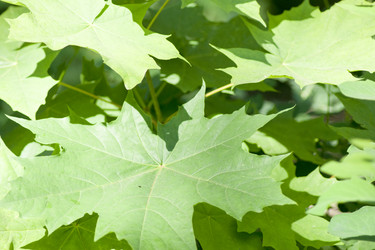 Similar image 6105537