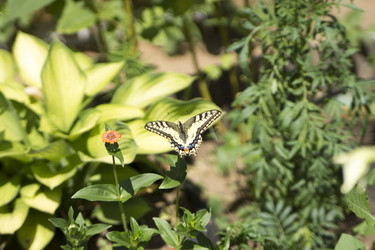 Similar image 6105538