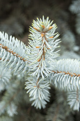 Similar image 6105541