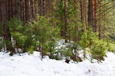 Similar image 6105543