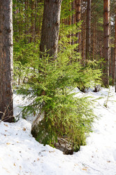 Similar image 6105544