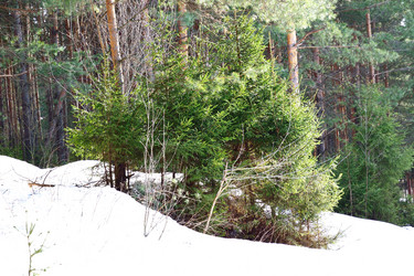 Similar image 6105545