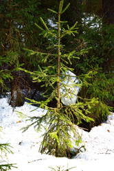 Similar image 6105547