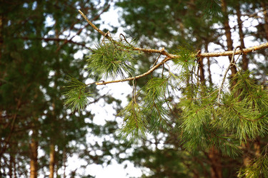 Similar image 6105548