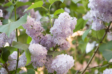 Similar image 6105550