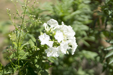 Similar image 6105551