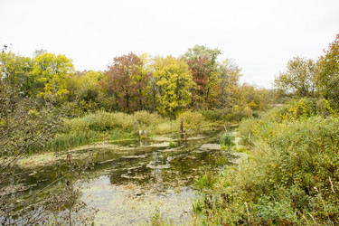 Similar image 6105552