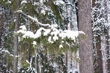 Similar image 6105553