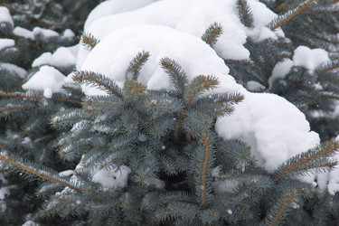 Similar image 6105554