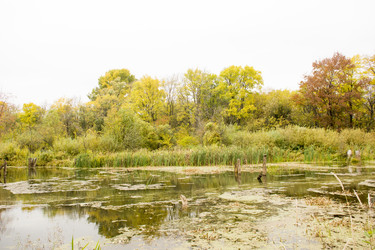 Similar image 6105555