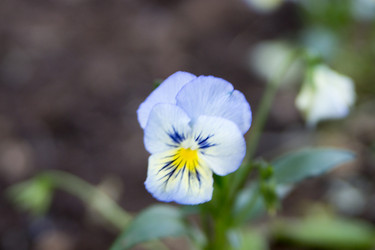 Similar image 6105556