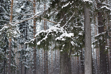 Similar image 6105560