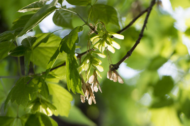 Similar image 6105563