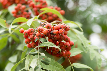 Similar image 6105564