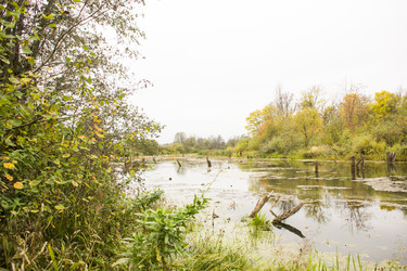 Similar image 6105566