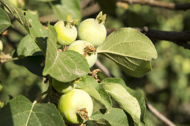 Similar image 6105567