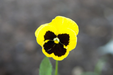 Similar image 6105569