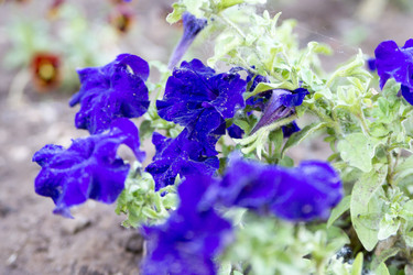 Similar image 6105572