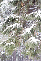 Similar image 6105575