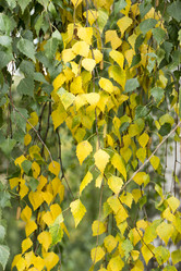 Similar image 6105577