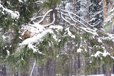 Similar image 6105578