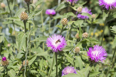 Similar image 6105580