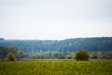 Similar image 6105583