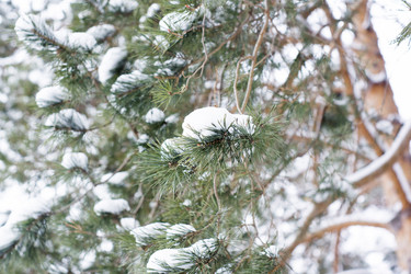 Similar image 6105586