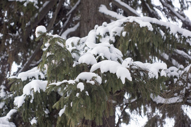 Similar image 6105589