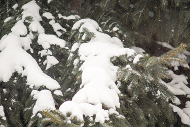 Similar image 6105592