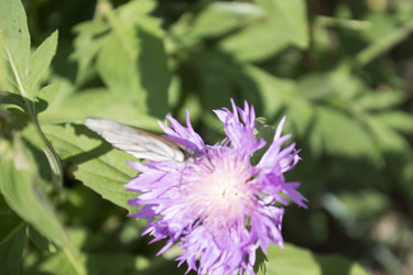 Similar image 6105594