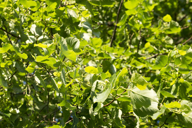 Similar image 6105596