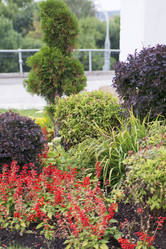 Similar image 6105597