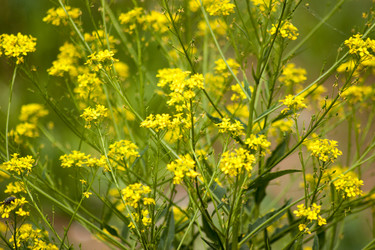 Similar image 6105600