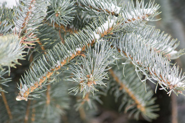 Similar image 6105602