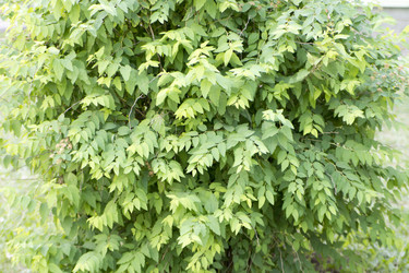 Similar image 6105604