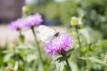 Similar image 6105607