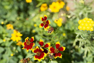 Similar image 6105610