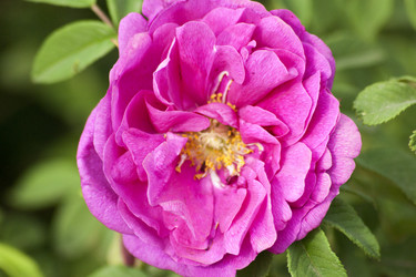 Similar image 6105618