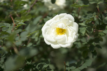 Similar image 6105619