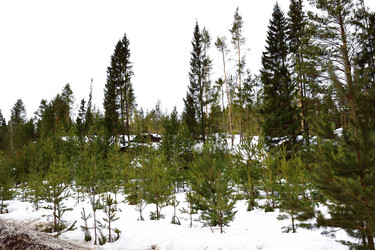 Similar image 6105621