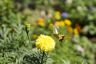 Similar image 6105624