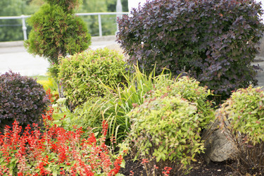 Similar image 6105625